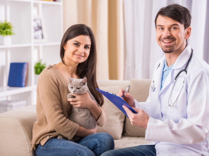 Understanding Pet Insurance: How It Works and Saves You Money