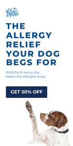 Boston Terrier Allergy & Skin Care Guide: Causes, Symptoms, and Treatment
