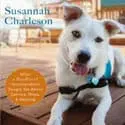 Cesar’s Top 6 Audiobooks to Keep Your Dog Calm This Holiday Season