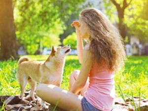 Mastering Positive Reinforcement: Essential Do s and Don ts for Effective Dog Training