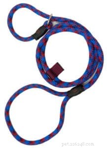 How to Pick the Perfect Leash and Collar for Your Dog