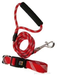 How to Pick the Perfect Leash and Collar for Your Dog