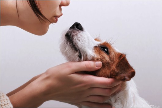 Pets Have Teeth Too: Recognize & Treat Bad Breath