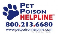 Xylitol Poisoning: Protect Your Dog from a Silent Threat