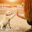 How Your Calm Presence Helps Your Pet Thrive During Vet Visits