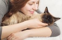 Welcome Your New Kitten: Essential Tips for a Smooth Transition