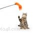 How to Create an Enriching Home for Your Cat