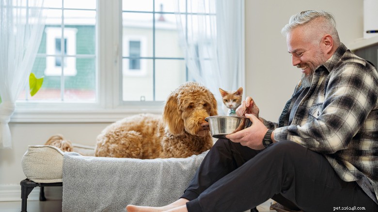 Deaf Rescue Dog Chata s Morning Cuddle Ritual Will Brighten Your Week