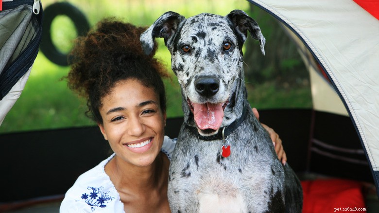15 Stunning Dog Breeds with Unusual Coats You’ll Love