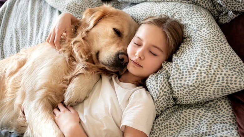 Pets and Sleep: Science Shows How Animals Improve Our Rest