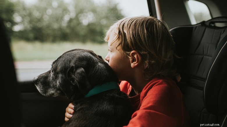 Pets and Sleep: Science Shows How Animals Improve Our Rest