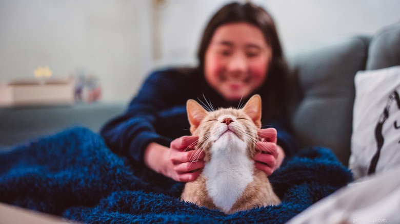 Pets and Sleep: Science Shows How Animals Improve Our Rest