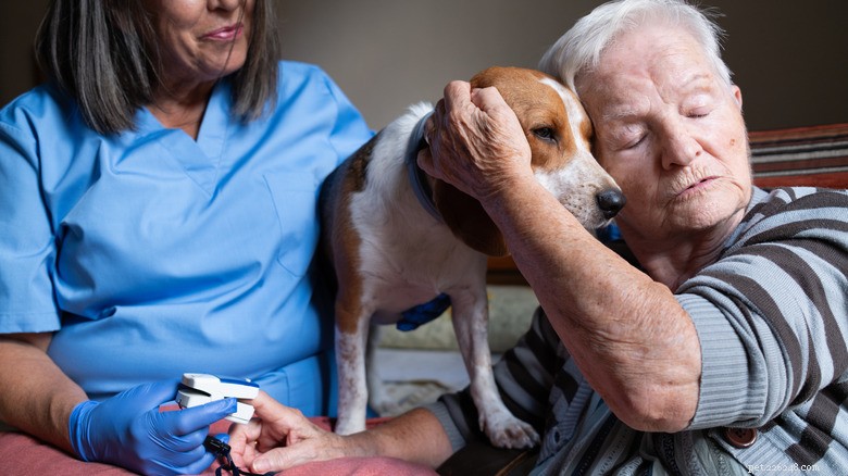Pets and Sleep: Science Shows How Animals Improve Our Rest