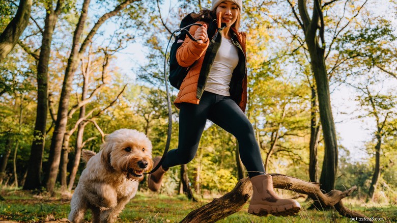Pets and Sleep: Science Shows How Animals Improve Our Rest