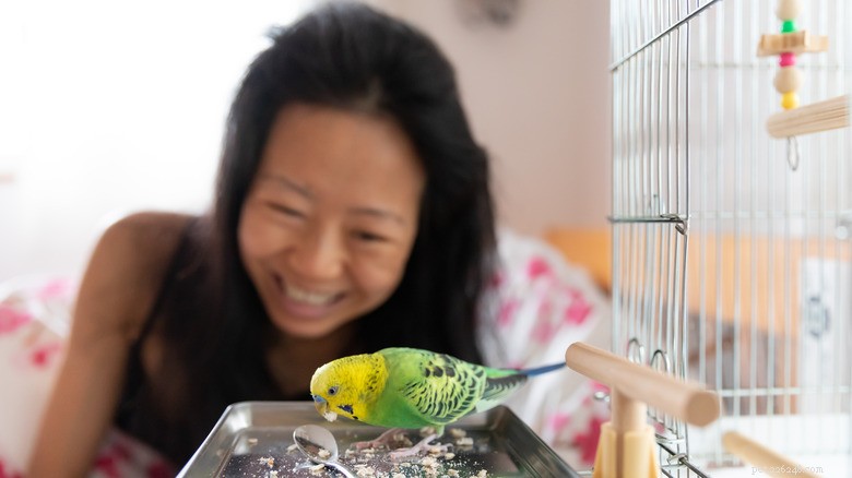 Pets and Sleep: Science Shows How Animals Improve Our Rest
