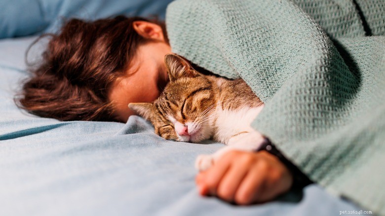 Pets and Sleep: Science Shows How Animals Improve Our Rest