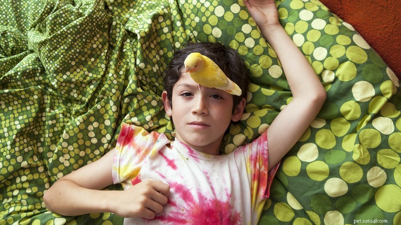 Pets and Sleep: Science Shows How Animals Improve Our Rest