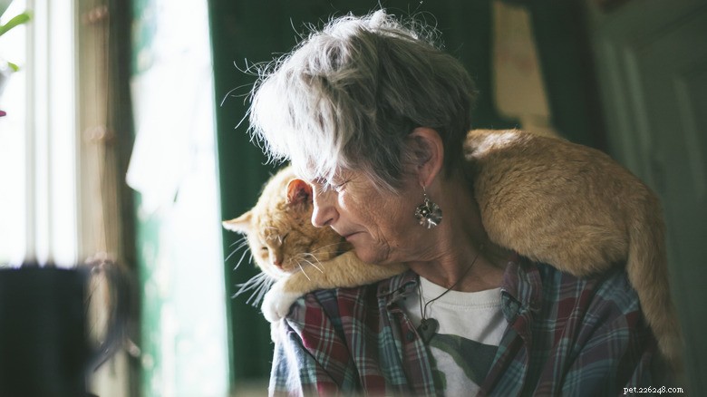 13 Reasons Cats Eat Poop: Why It Happens & How to Stop It