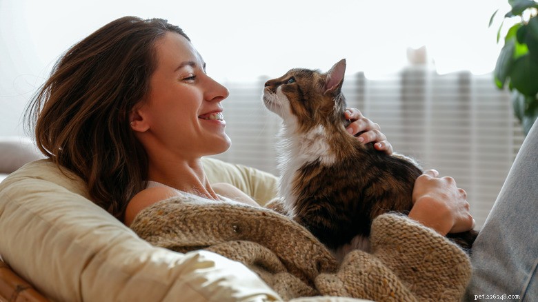 16 Cat Owner Dilemmas You’ll Never Want to Hear About