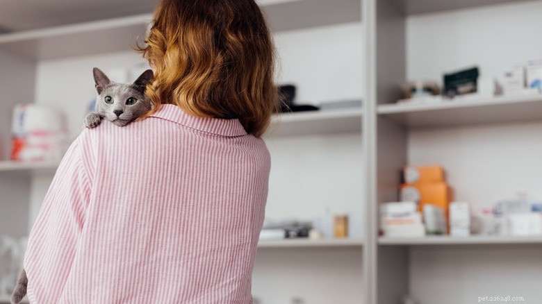 15 Zoonotic Diseases Your Cat Can Transmit to Humans
