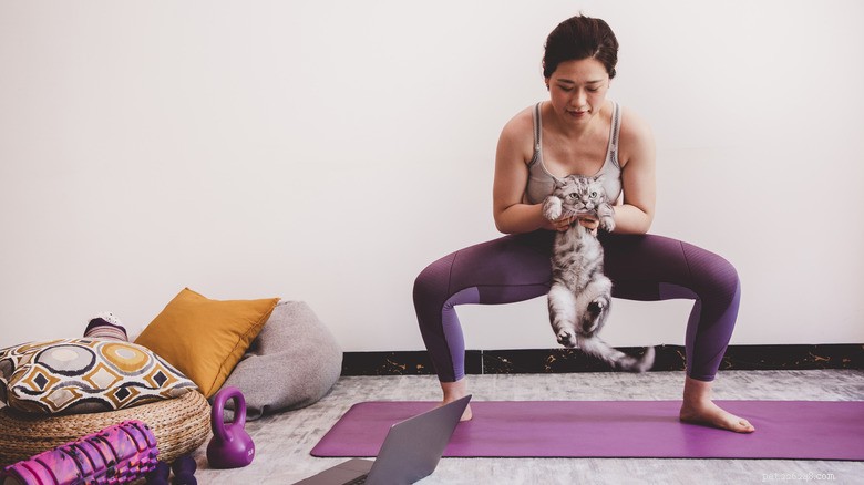 Turn Your Cat Into a Fitness Buddy: Easy Ways to Exercise Together
