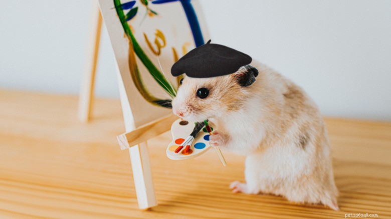 Hilarious Animal Photos Guaranteed to Make You Laugh