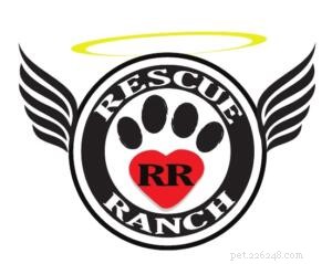 Special Animals Rescued from Texas Rescue Ranch