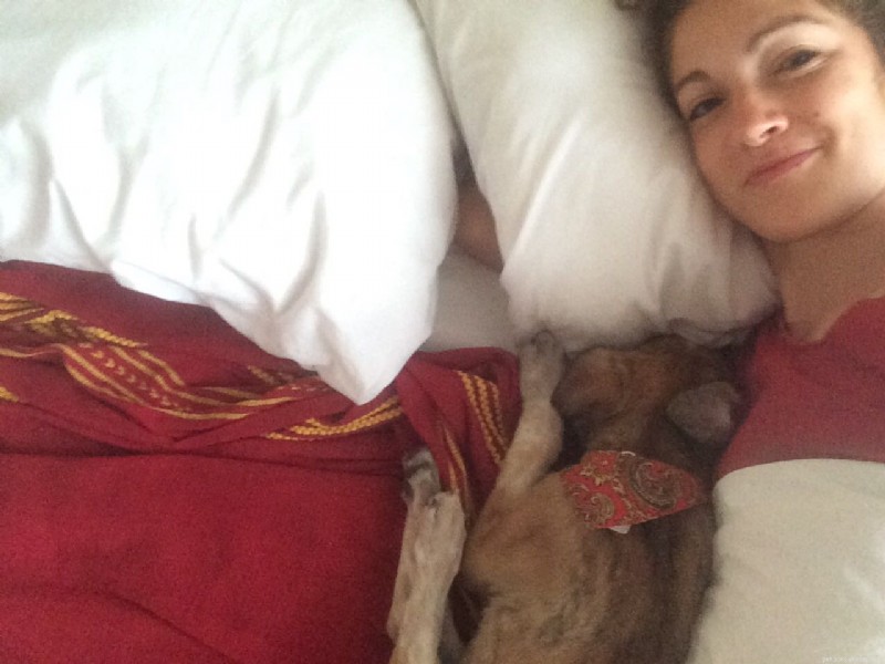 From Mexico to New Hampshire: Rescue Puppy Finds Loving Family