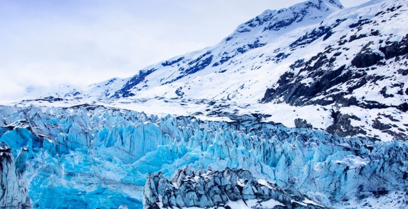 Tiny Chihuahua Heroically Saves Hiker from Glacier Crevasse in Switzerland