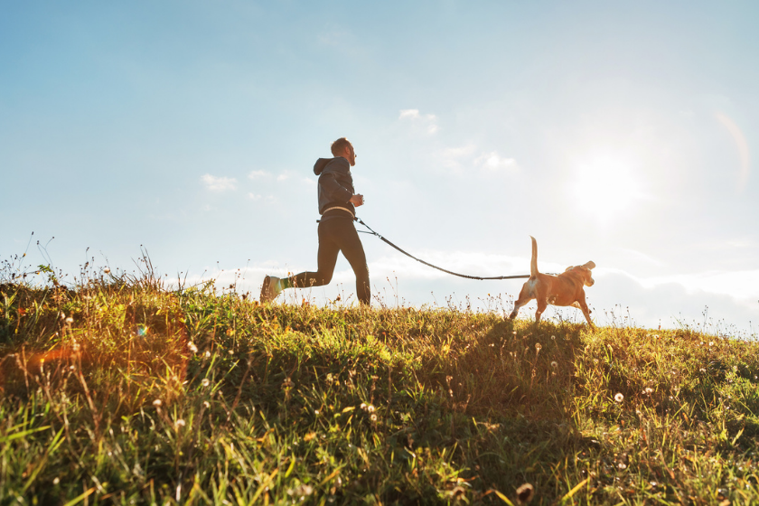 Dogs Can Get Sunburn: Expert Tips to Keep Your Pet Safe This Summer