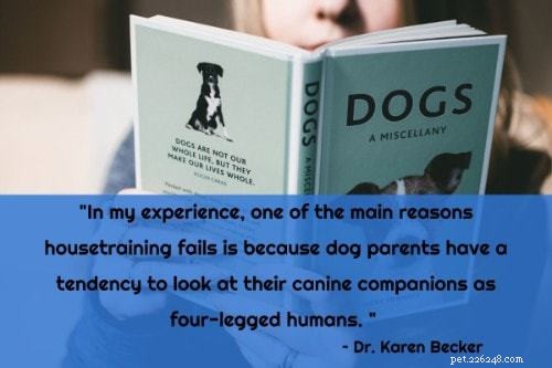The Ultimate Puppy Training Guide: 101 Expert Tips, Books & Products