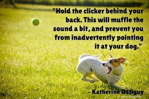 The Ultimate Puppy Training Guide: 101 Expert Tips, Books & Products