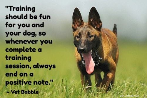 The Ultimate Puppy Training Guide: 101 Expert Tips, Books & Products