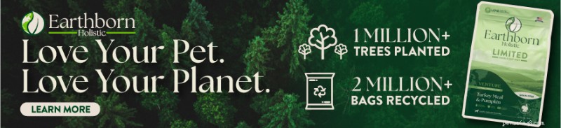 Beyond the Bowl: How Choosing an Ethical Pet Food Brand Benefits Pets, People, and the Planet