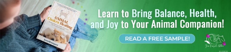 How the Root Chakra Shapes Pet Behavior – Insights from Animal Communicator Joan Ranquet