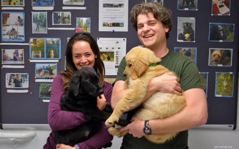 Netflix Series Shows Puppies Who Ask for Help Become Top Service Dogs