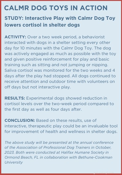 The Science Behind Calming Dog Toys: How They Quiet Energy and Promote Peace