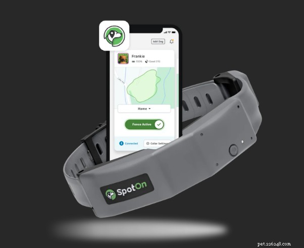 Top Dog GPS Collars of 2023: Accurate Tracking for Your Furry Family