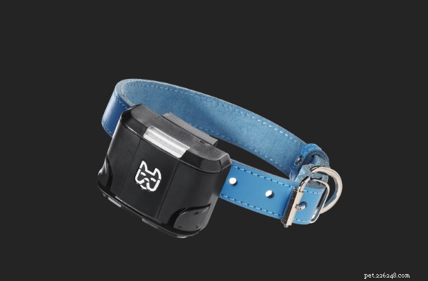 Top Dog GPS Collars of 2023: Accurate Tracking for Your Furry Family