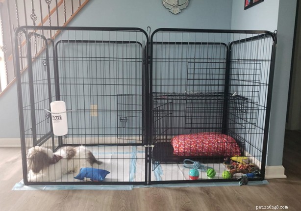 Top Portable Dog Fences 2024: Reviews & Buying Guide