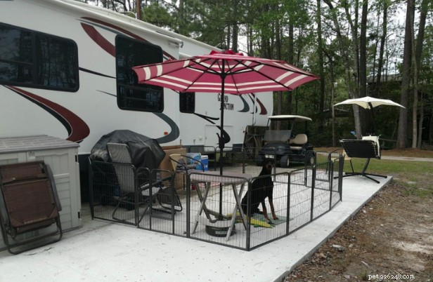 Top Portable Dog Fences 2024: Reviews & Buying Guide