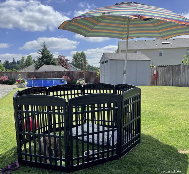 Top Portable Dog Fences 2024: Reviews & Buying Guide