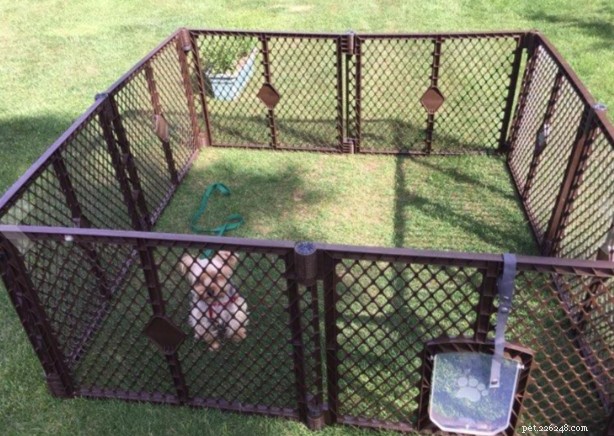 Top Portable Dog Fences 2024: Reviews & Buying Guide
