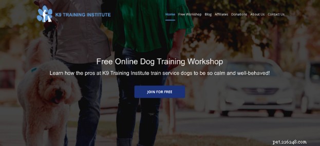 Premium Online Dog Training Courses from Certified Experts