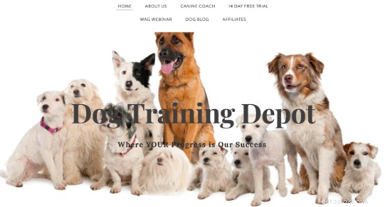 Premium Online Dog Training Courses from Certified Experts