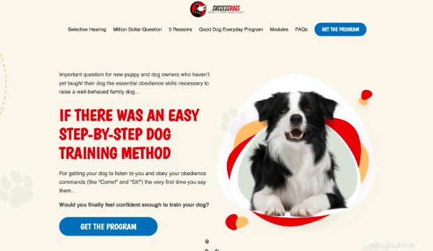 Premium Online Dog Training Courses from Certified Experts