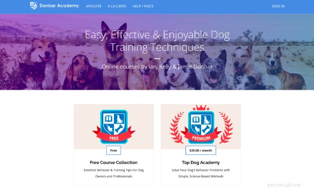 Premium Online Dog Training Courses from Certified Experts