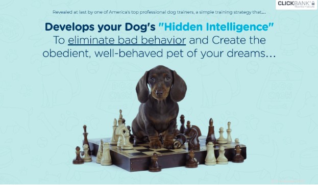 Premium Online Dog Training Courses from Certified Experts