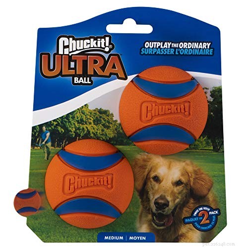 Why Veterinary Experts Warn Against Bitter Anti‑Chew Sprays for Puppies