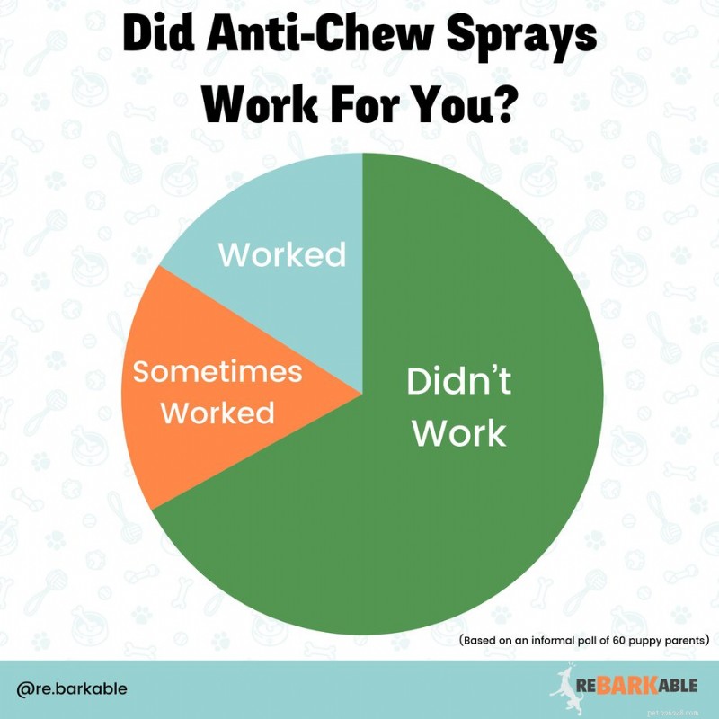 Why Veterinary Experts Warn Against Bitter Anti‑Chew Sprays for Puppies